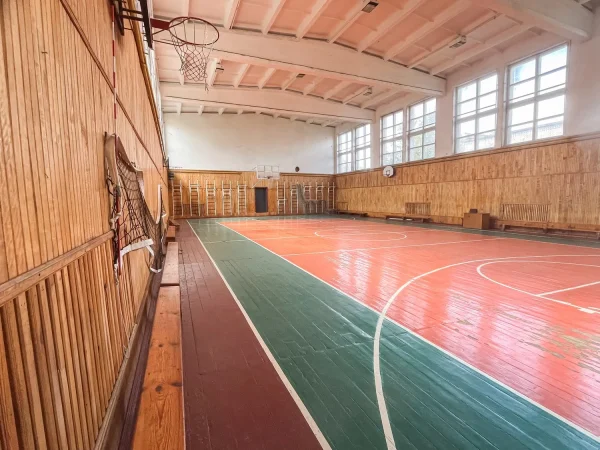 Ніжинський державний університет імені Миколи Гоголя